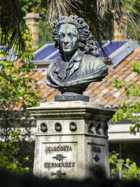 Close-up of statue against trees