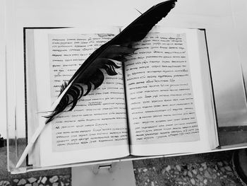 Close-up of book with feather