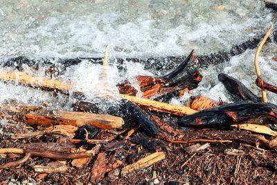 High angle view of fire in the sea