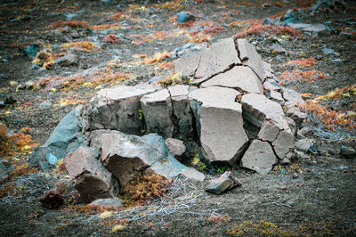 High angle view of cracked rock