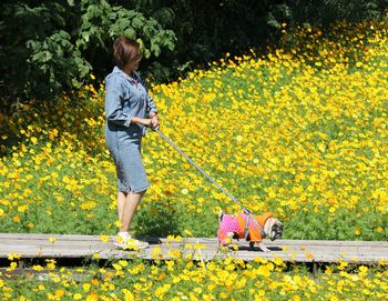 Full length of woman walking with dog by yellow flowering plants