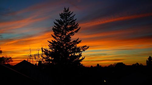 Low angle view of silhouette tree against orange sky