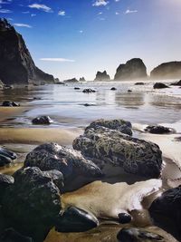 Scenic view of beach against sky