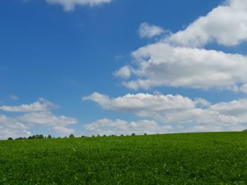 Scenic view of field against sky