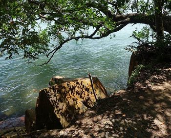 Rocks in river