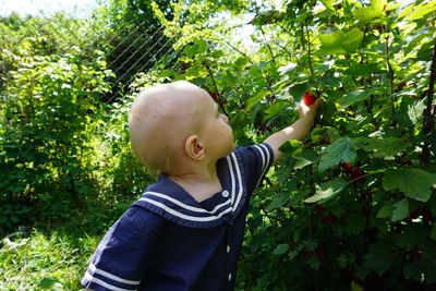 Baby boy picking flower at back yard