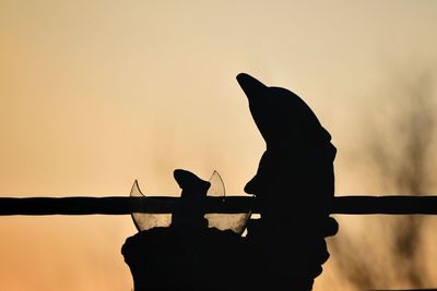 Silhouette bird perching on rock against sky during sunset