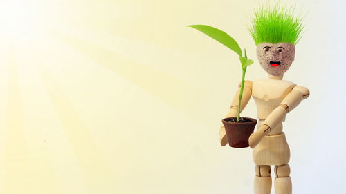 Close-up of stuffed toy against white background