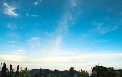 Trees on landscape against blue sky