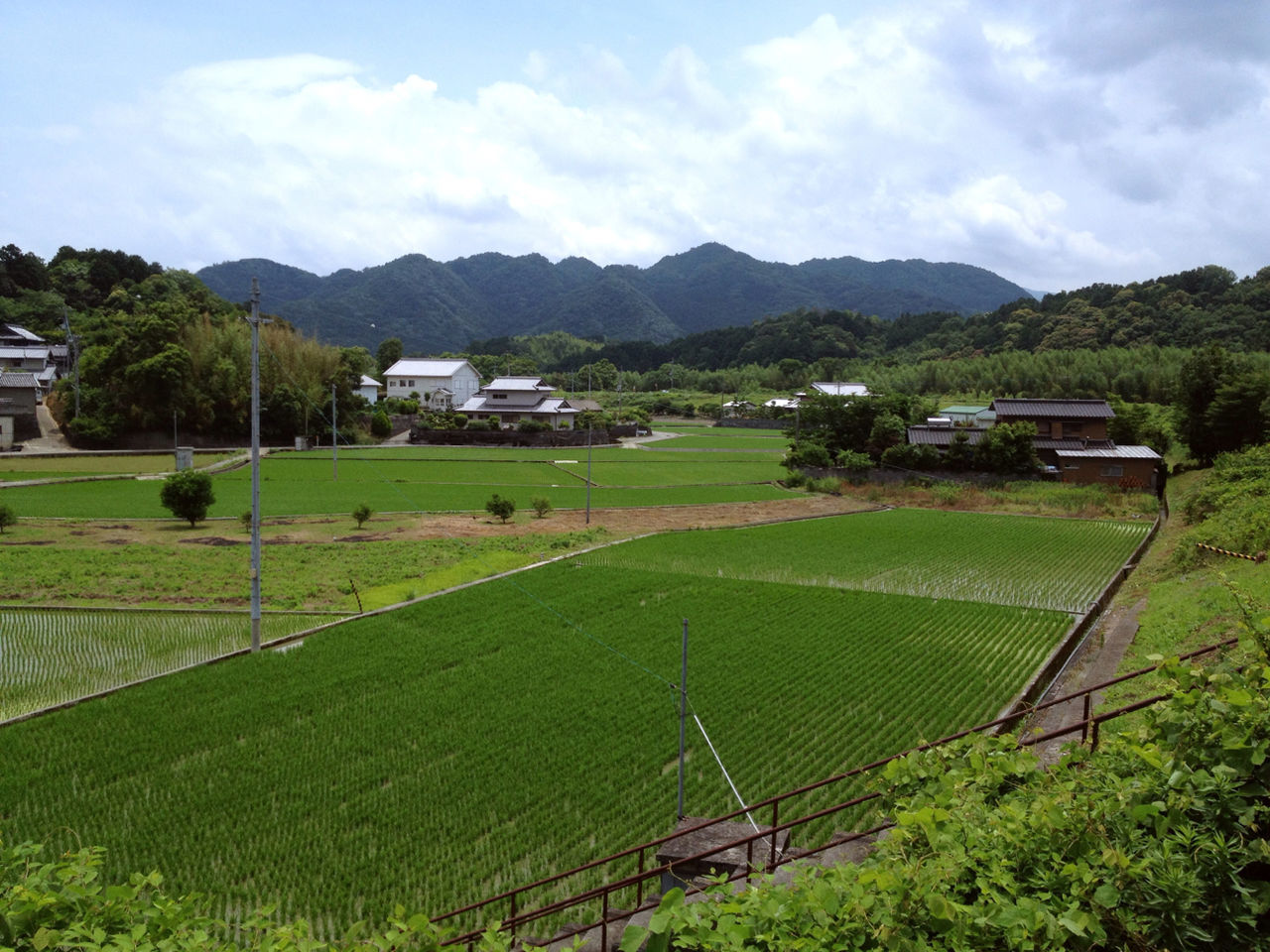 ローソン 徳島しらさぎ台店