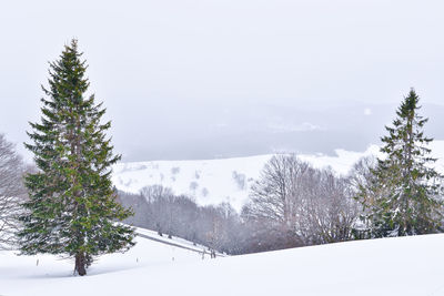 Winter-christmas vibe at schauinsland mountain in black forest, germany