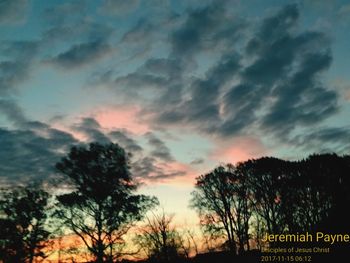 Silhouette trees against sky at sunset