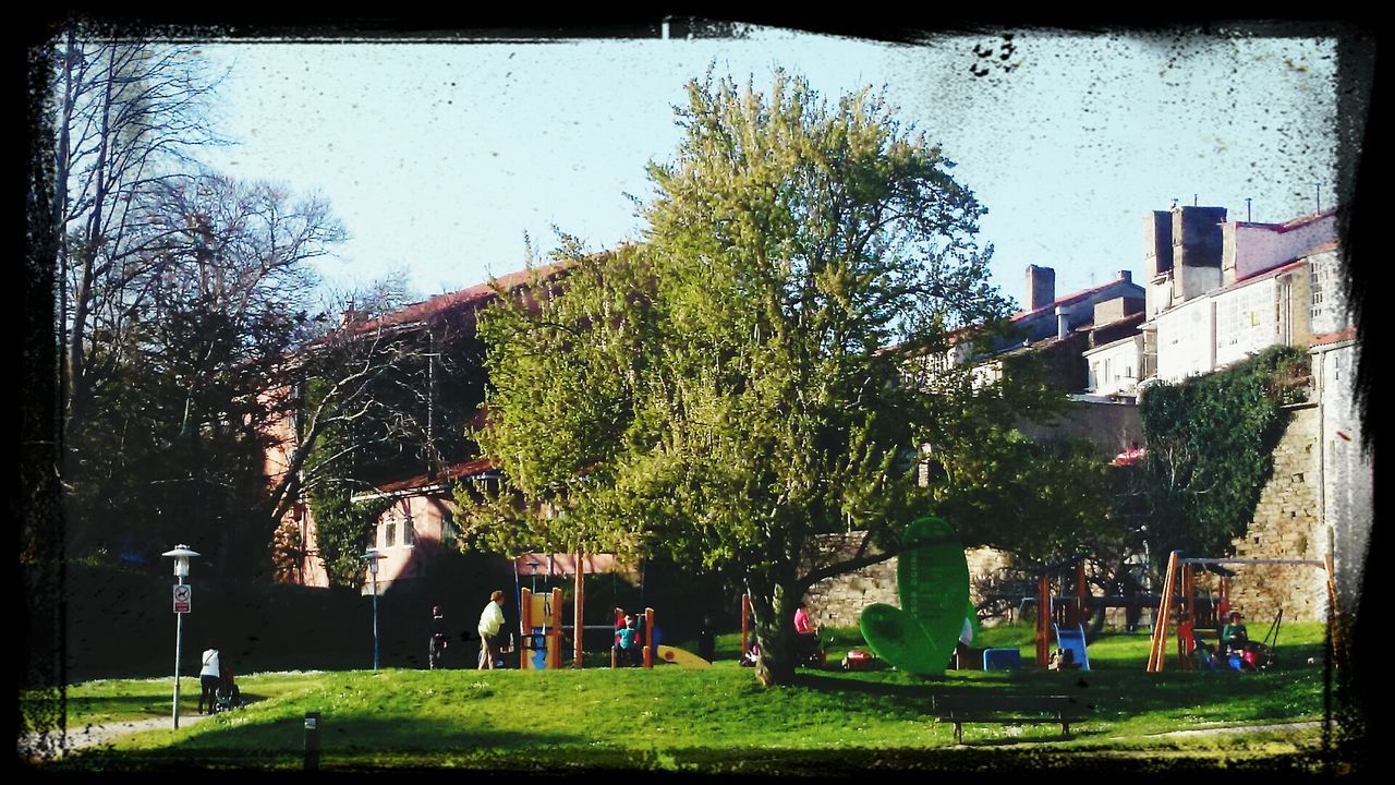 transfer print, tree, building exterior, auto post production filter, grass, architecture, built structure, city, park - man made space, green color, car, street, transportation, land vehicle, growth, outdoors, incidental people, day, clear sky