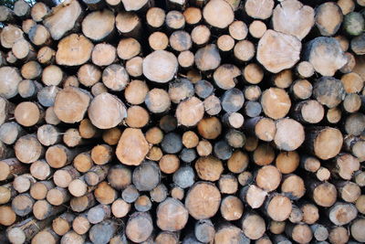 Full frame shot of logs