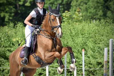 Man riding horse