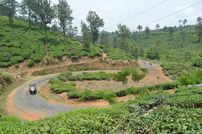 Scenic view of road amidst trees against sky