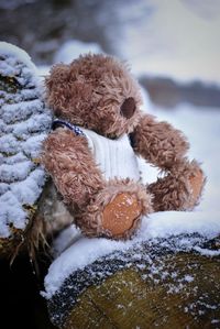 Teedy in snow