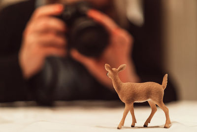 Close-up of deer toy