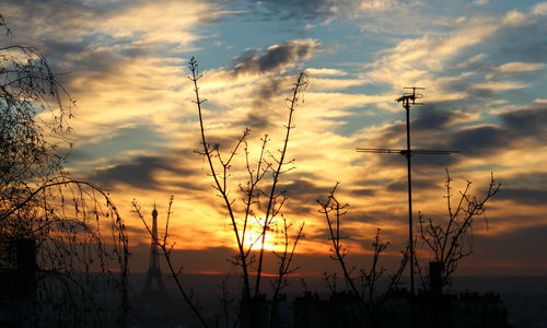 Silhouette of plants against dramatic sky during sunset