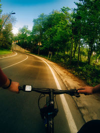 Man riding bicycle on road by trees