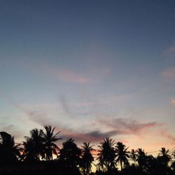 Low angle view of silhouette palm trees against sky