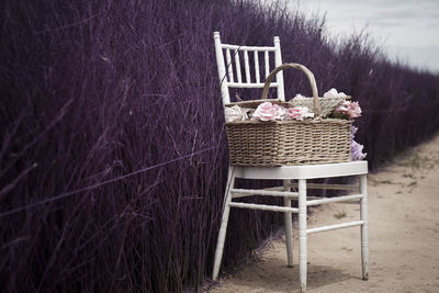 Empty chairs and table