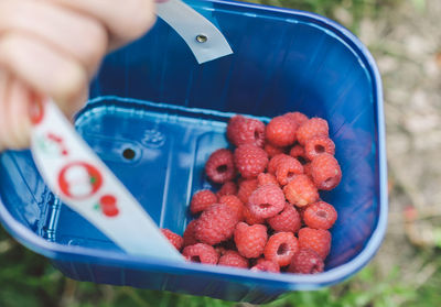 Cropped hand holding raspberries in basket