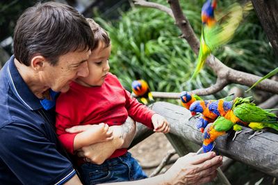 Boy with grandfather feeding birds