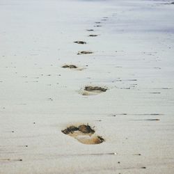 Close-up of sand on beach