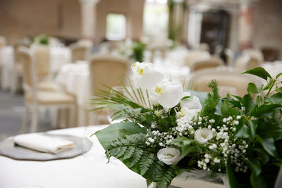 Close-up of white flowers on table