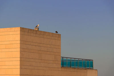 Low angle view of bird perching on building against clear sky