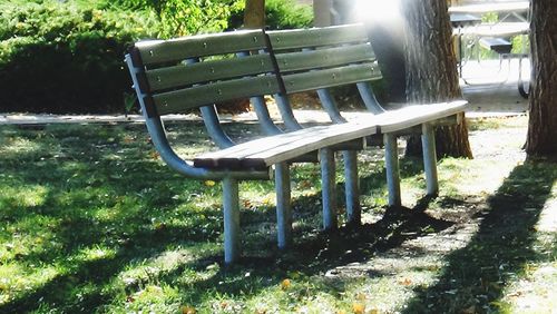 Empty wooden bench in park