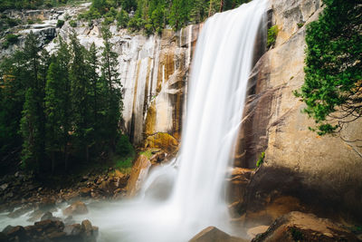 Scenic view of waterfall in forest