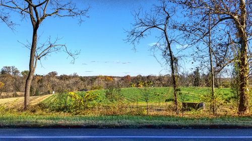 Scenic view of field against clear blue sky