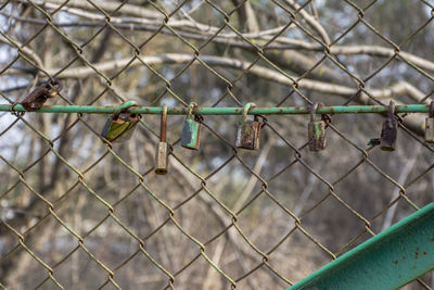 Full frame shot of chainlink fence