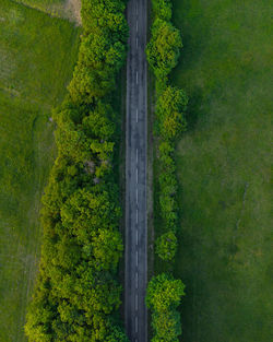 Scenic view of land and trees in forest