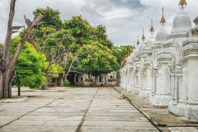 Trees in a temple