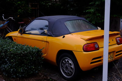 Yellow car parked by plants in city