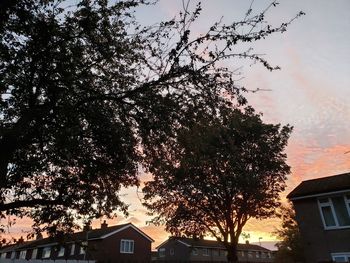 Low angle view of silhouette tree by building against sky