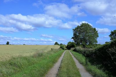 Dirt road passing through field