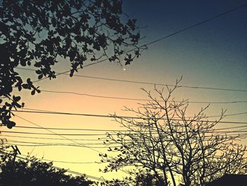 Low angle view of bare tree against sky