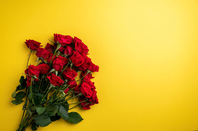 Close-up of red rose against yellow background