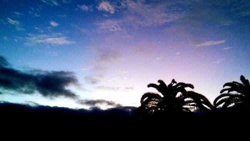 Silhouette of trees against cloudy sky