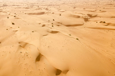 Full frame shot of sand dune