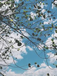 Low angle view of branches against cloudy sky