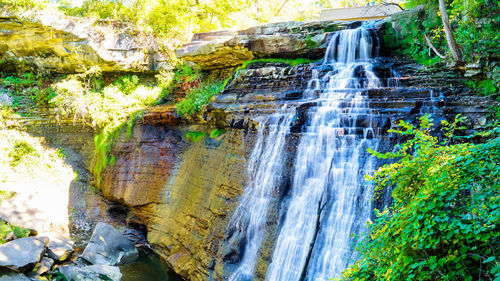 Close-up of waterfall along trees