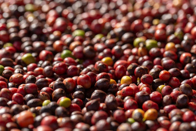 Full frame shot of berries