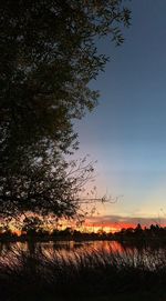 Silhouette trees on field against sky at sunset