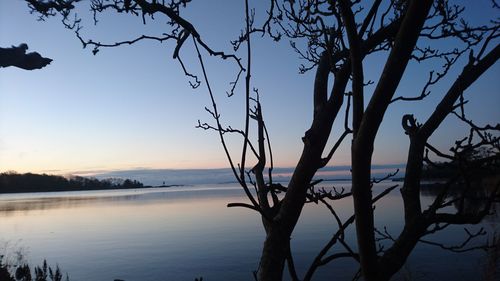 Silhouette trees on beach against sky at sunset