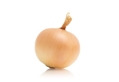 Close-up of apple against white background